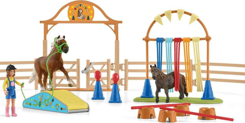 - Horse Club - Pony agility training (42481)