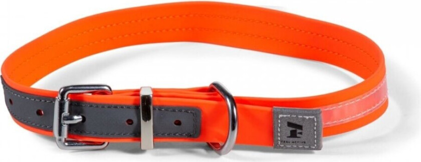 Feel Active Hundhalsbånd Vanntett med Refleks Oransje (2 x 38 - 46cm)