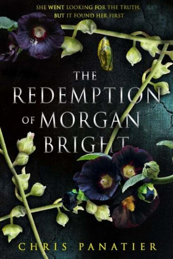 The Redemption of Morgan Bright av Chris Panatier