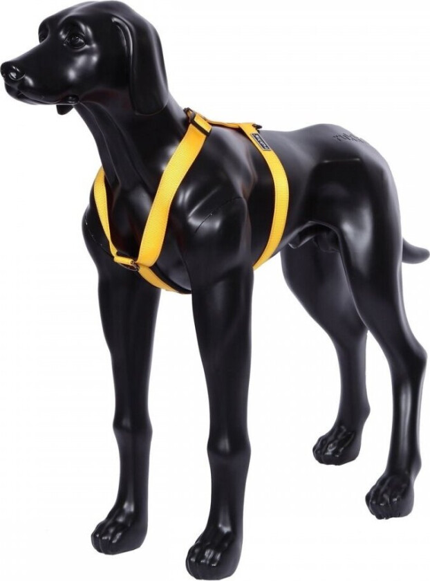 Rukka Form Polar Hundsele Gul (M)