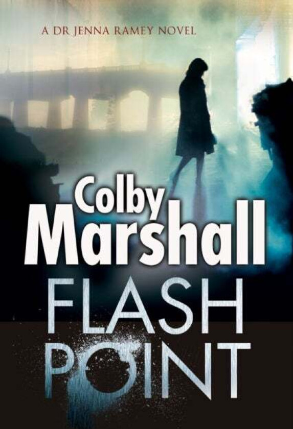Flash Point av Colby Marshall