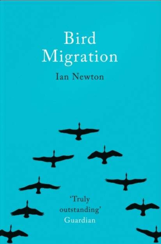 Bird Migration av Ian Newton