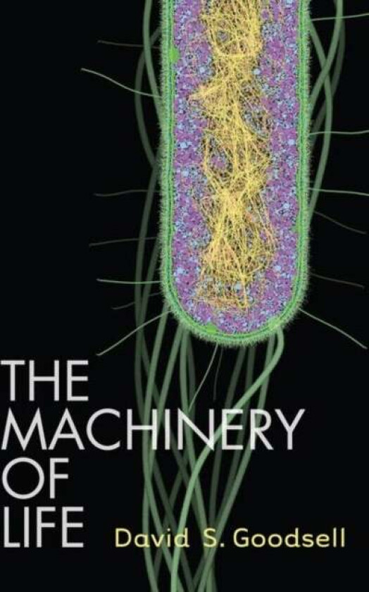 The Machinery of Life av David S. Goodsell