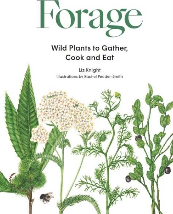Forage av Liz Knight