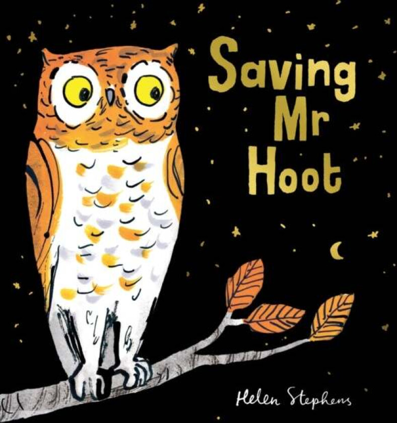 Saving Mr Hoot PB av Helen Stephens