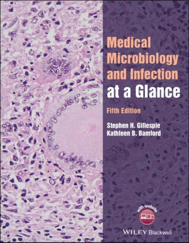 Medical Microbiology and Infection at a Glance av Stephen H. (University of St Andrews UK) Gillespie, Kathleen B. (Royal Cornwall Hospital UK) Bamford