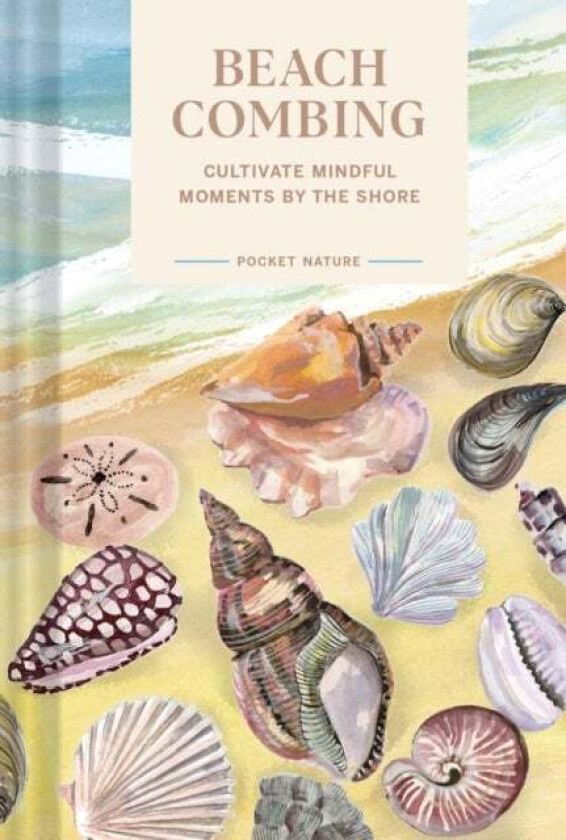 Pocket Nature: Beachcombing Av Sadie Small