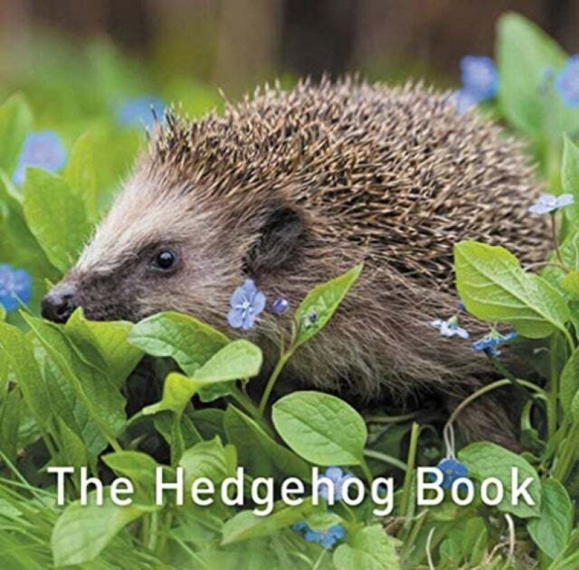 The Hedgehog Book av Hugh Warwick