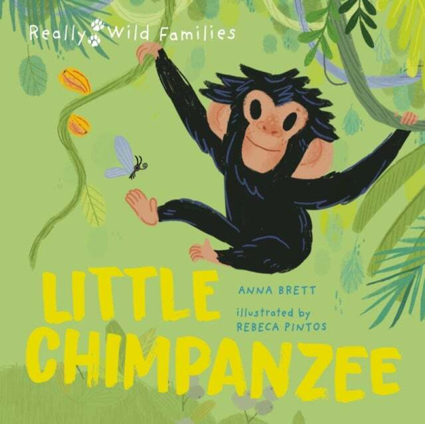Little Chimpanzee av Anna Brett