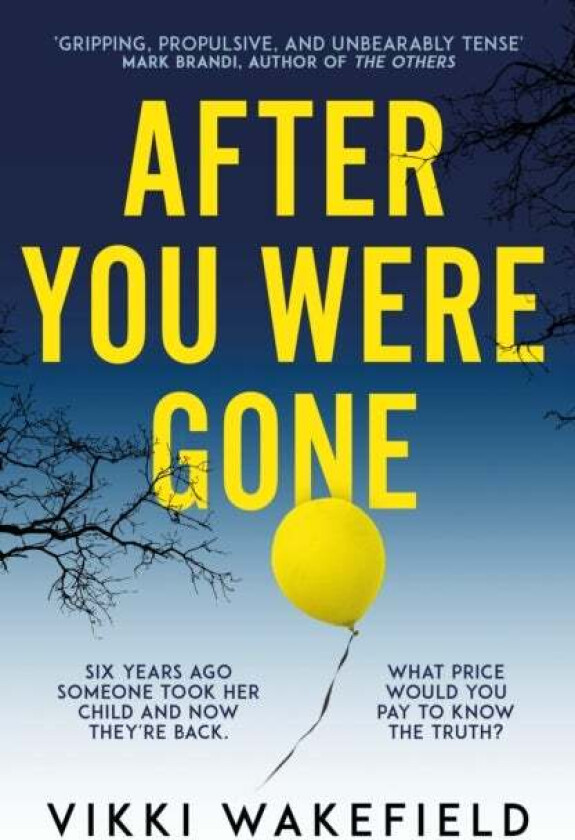After You Were Gone av Vikki Wakefield