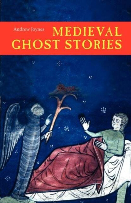 Medieval Ghost Stories av Andrew Joynes