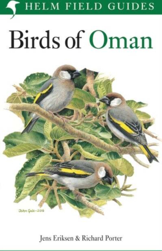 Birds of Oman av Richard Porter, Jens Eriksen