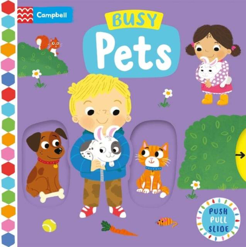 Busy Pets av Campbell Books