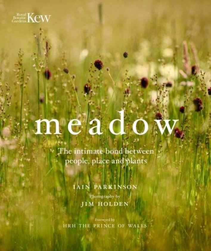 Meadow av Iain Parkinson