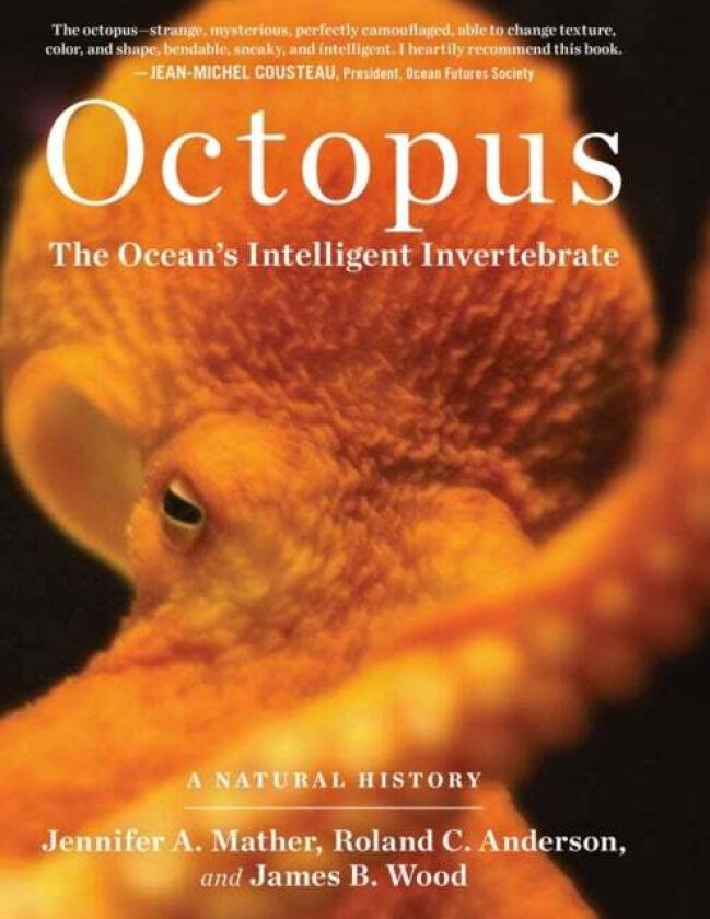 Octopus av James B. Wood, Jennifer A. Mather, Roland C. Anderson