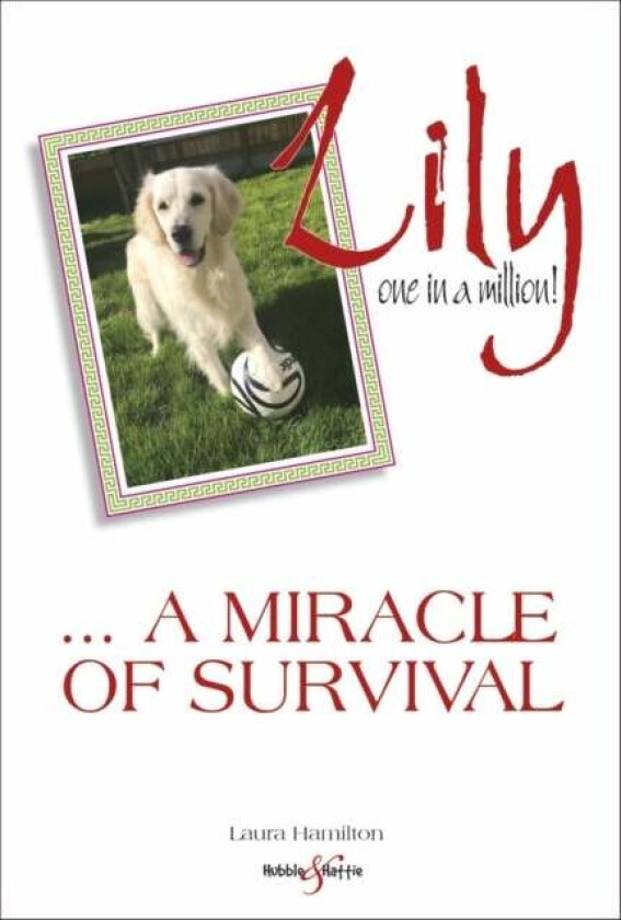 Lily: one in a million av Laura Hamilton