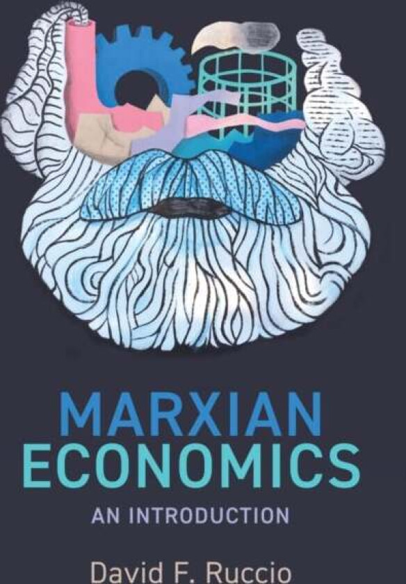 Marxian Economics: An Introduction av D Ruccio