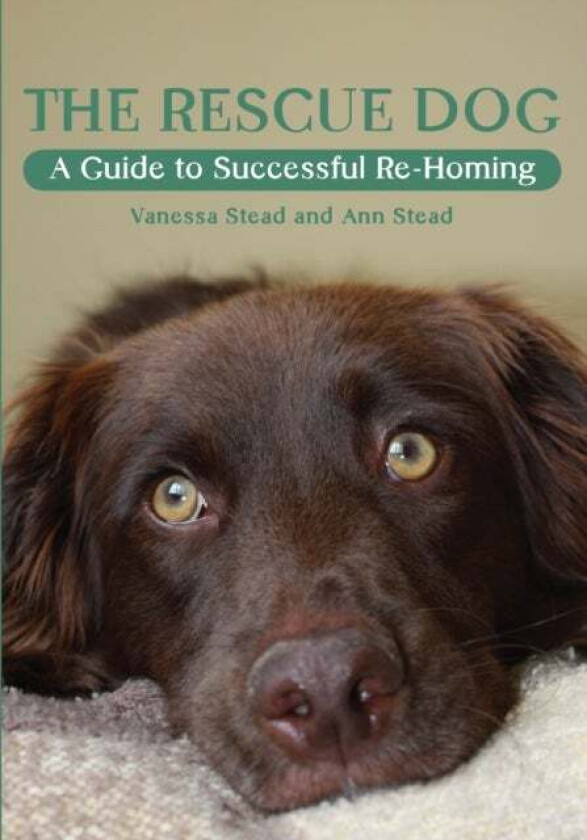 The Rescue Dog av Vanessa Stead, Ann Stead