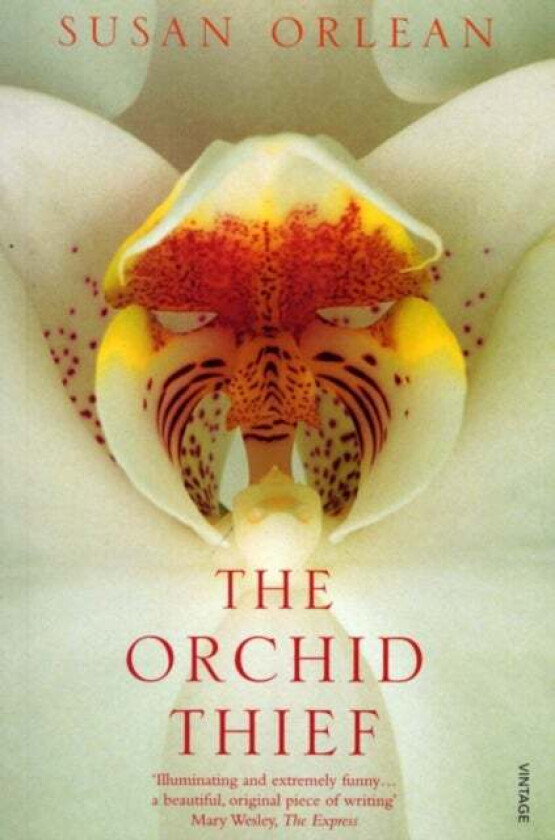 The Orchid Thief av Susan Orlean