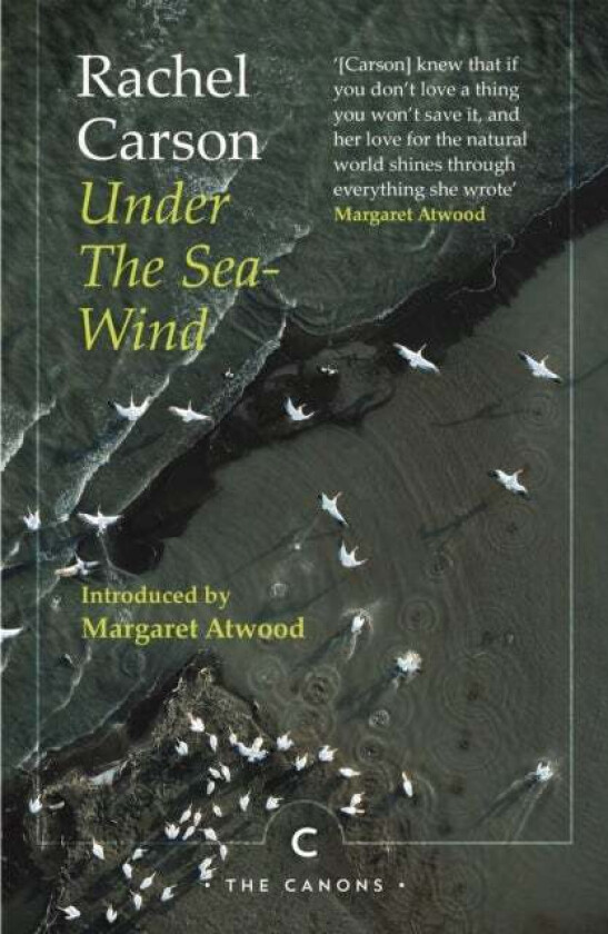 Under the Sea-Wind av Rachel Carson