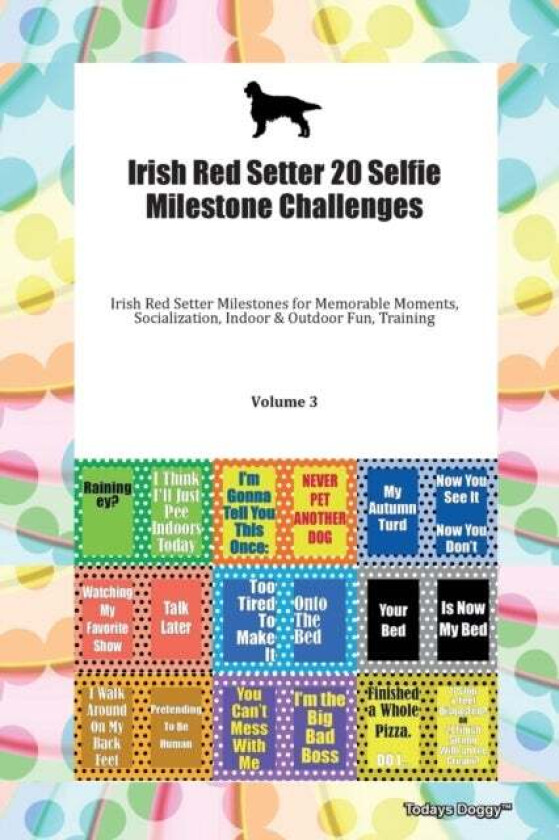 Irish Red Setter 20 Selfie Milestone Challenges Irish Red Setter Milestones for Memorable Moments, S av Doggy Todays Doggy