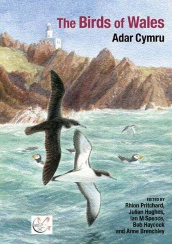 The Birds of Wales