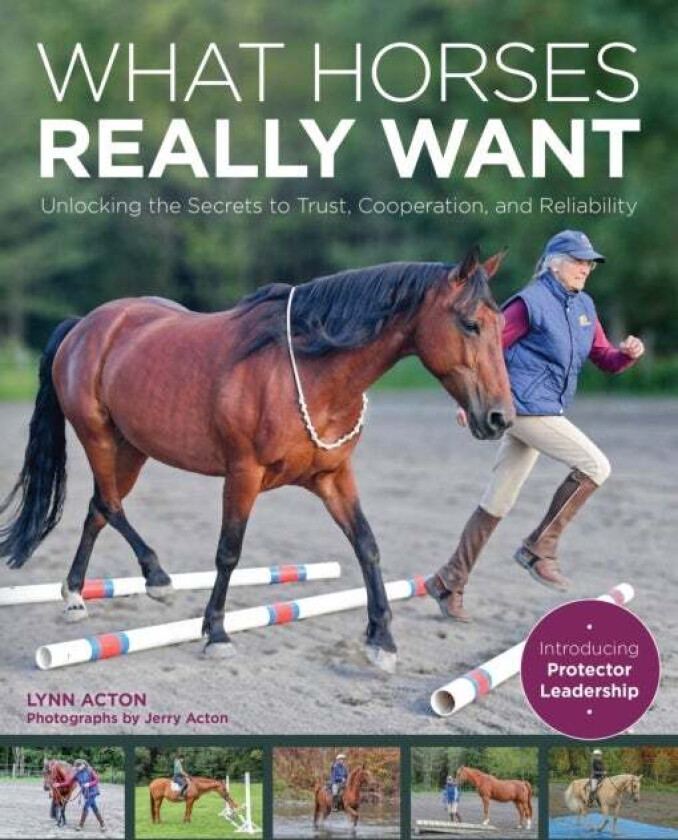 What Horses Really Want av Lynn Acton