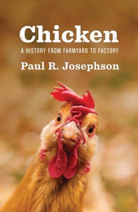 Chicken av Paul R. Josephson