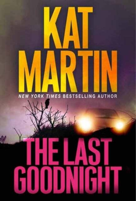The Last Goodnight av Kat Martin