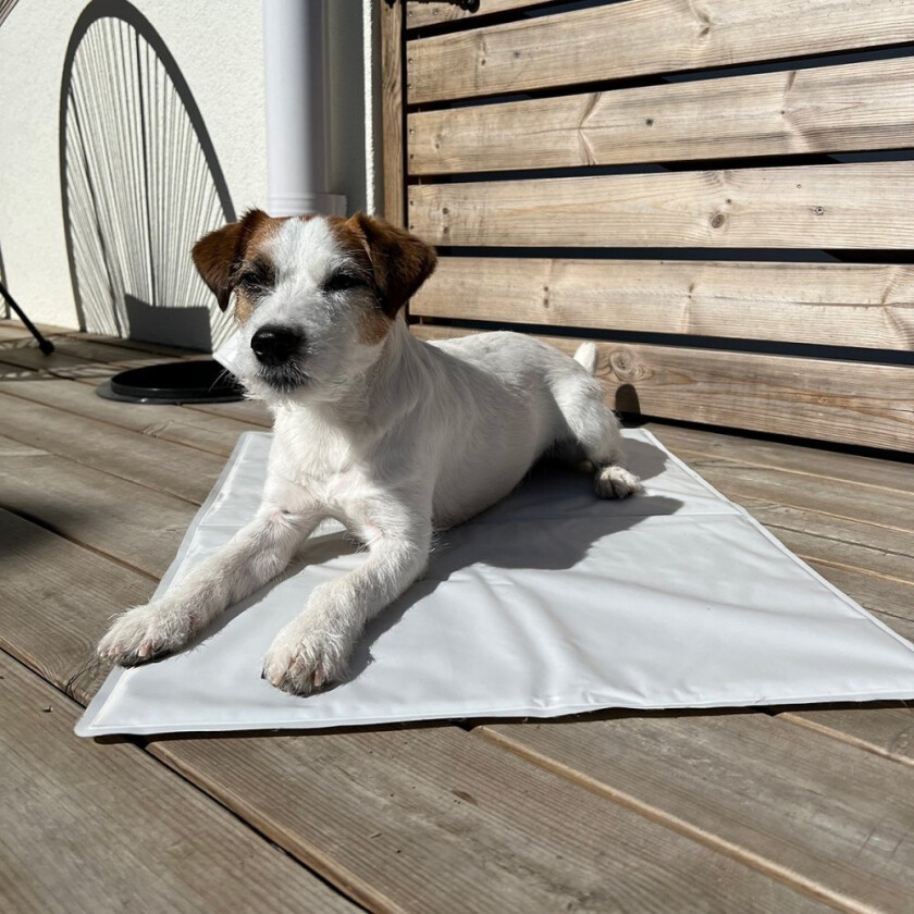 Flamingo Kjølematte Silver (50x90cm)