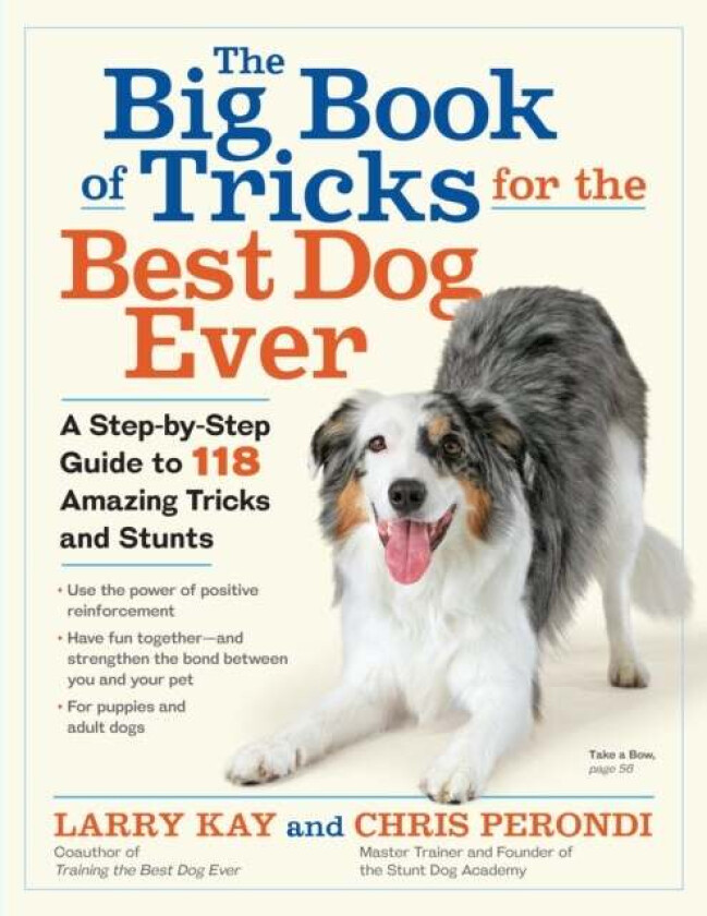 The Big Book of Tricks for the Best Dog Ever av Chris Perondi, Larry Kay