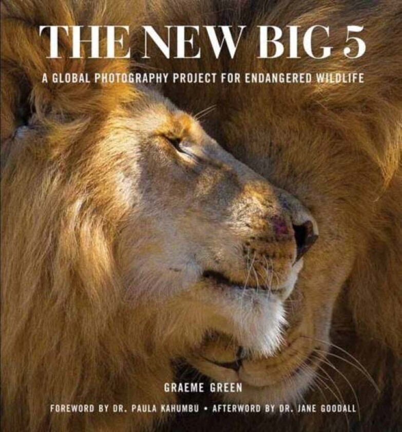 The New Big Five av Graeme Green