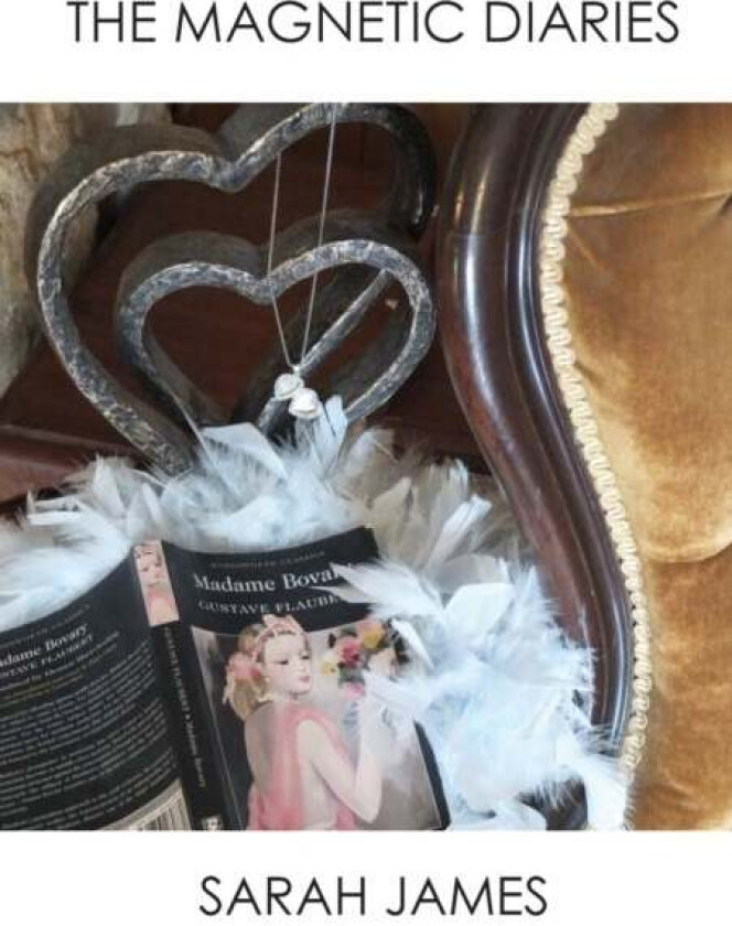 The Magnetic Diaries av Sarah James