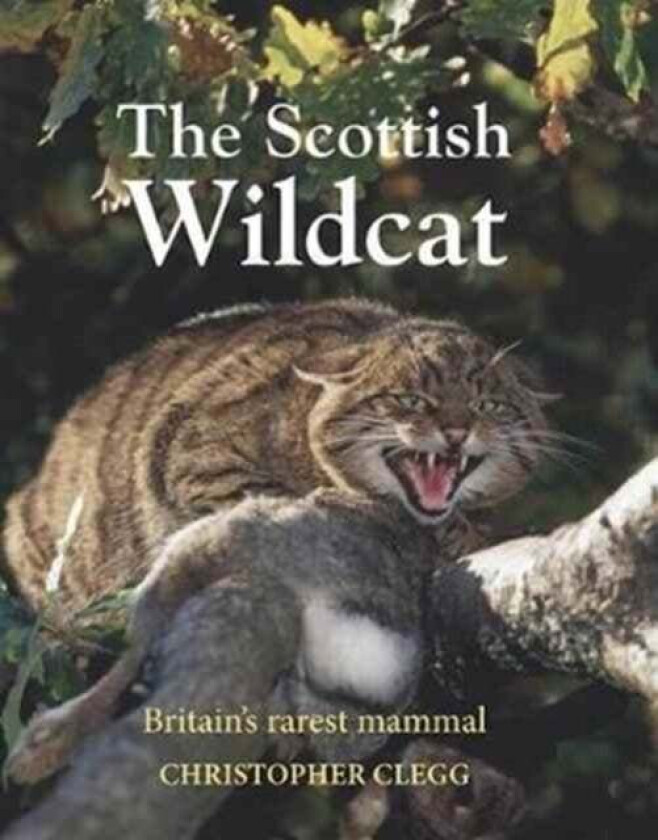 The Scottish Wildcat av Dr. Christopher Clegg