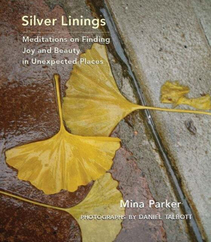 Silver Linings av Mina (Mina Parker) Parker