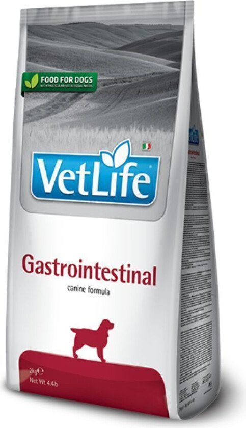 VetLife Gastroentestinal Tørrfôr til hund 2 kg