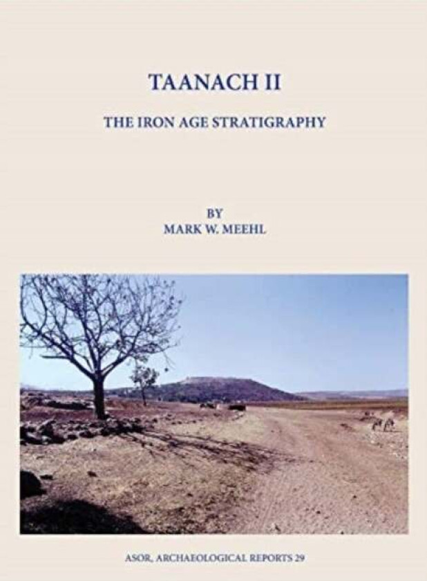 Taanach II av Mark W. Meehl