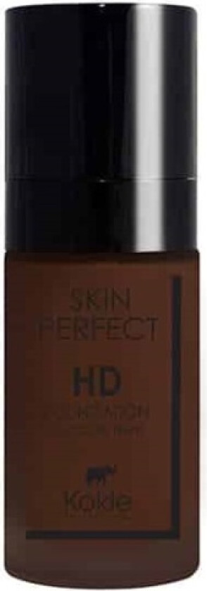 Kokie Skin Perfect HD Foundation - 120C