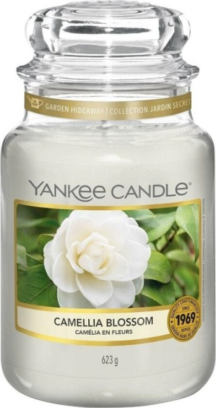 Classic Large Jar Camellia Blossom 623g