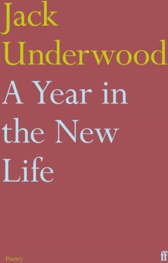 A Year in the New Life av Jack Underwood