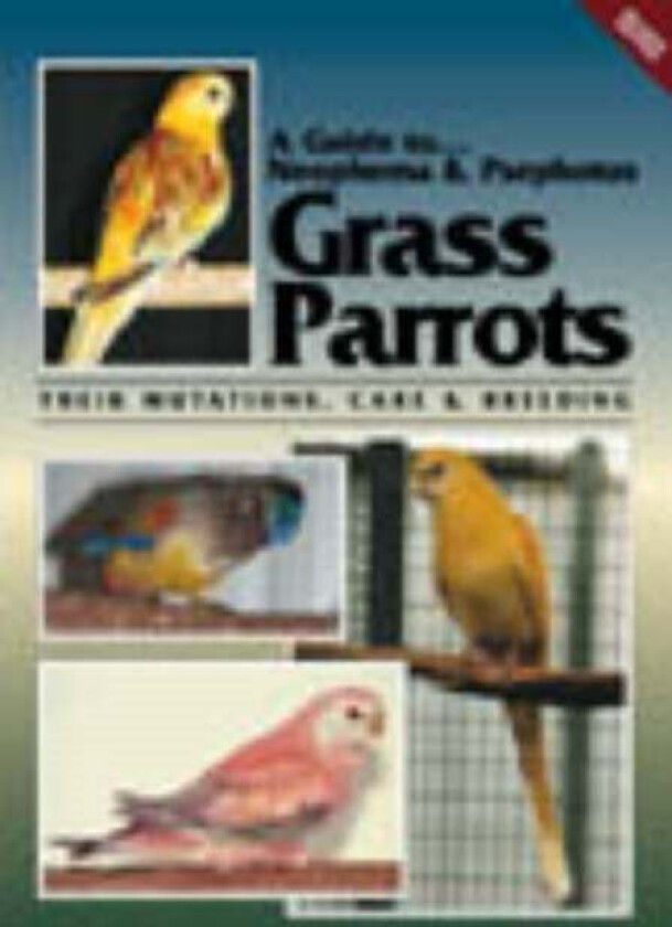 Neophema and Psephotus Grass Parrots av Toby Martin