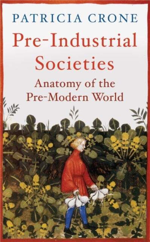 Pre-Industrial Societies av Patricia Crone