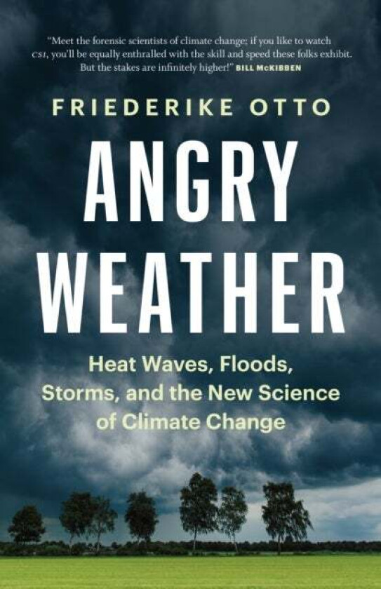 Angry Weather av Friederike Otto