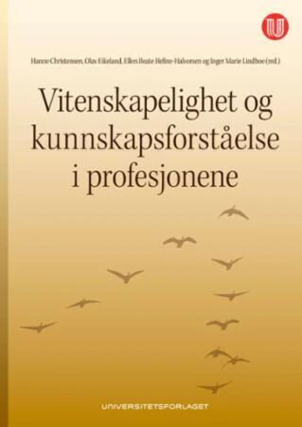 Vitenskapelighet og kunnskapsforståelse i profesjonene