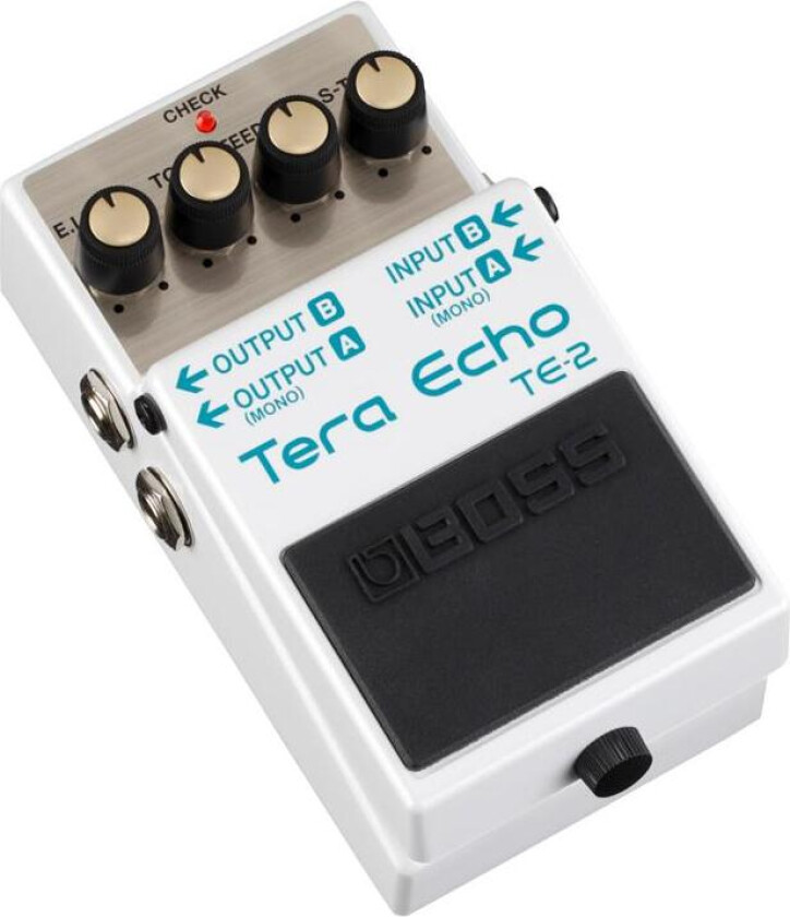 Boss Te-2 Terra Echo-Pedal