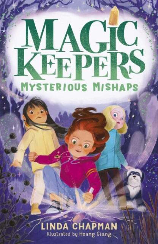 Magic Keepers: Mysterious Mishaps av Linda Chapman