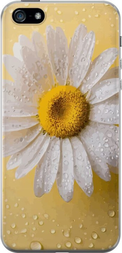 Mobildeksel til Apple iPhone 5 med Porselensblomst motiv