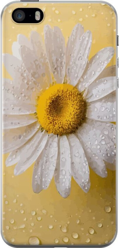 Mobildeksel til Apple iPhone 5s med Porselensblomst motiv