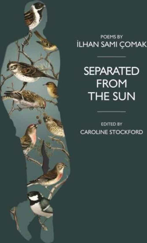 Separated from the Sun av Ilhan Comak