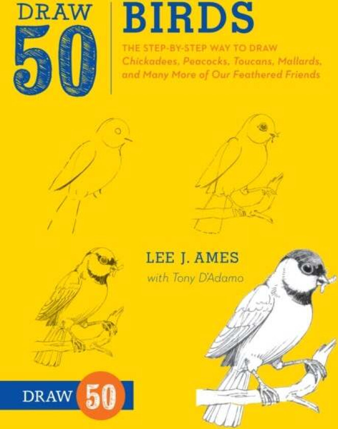 Draw 50 Birds av L Ames